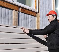 Best Siding Painting and Refinishing  in Nashville, MI